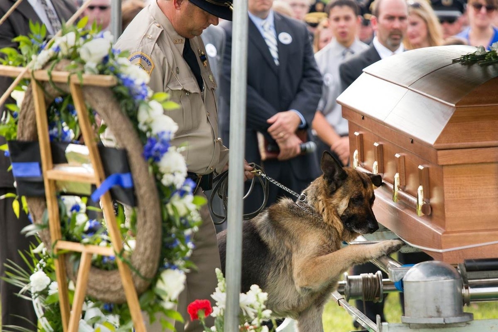 Figo, un chien policier du Kentucky, montre ses derniers respects à son partenaire humain, agent Jason Ellis, qui a été tué dans une embuscade cinq jours plus tôt.